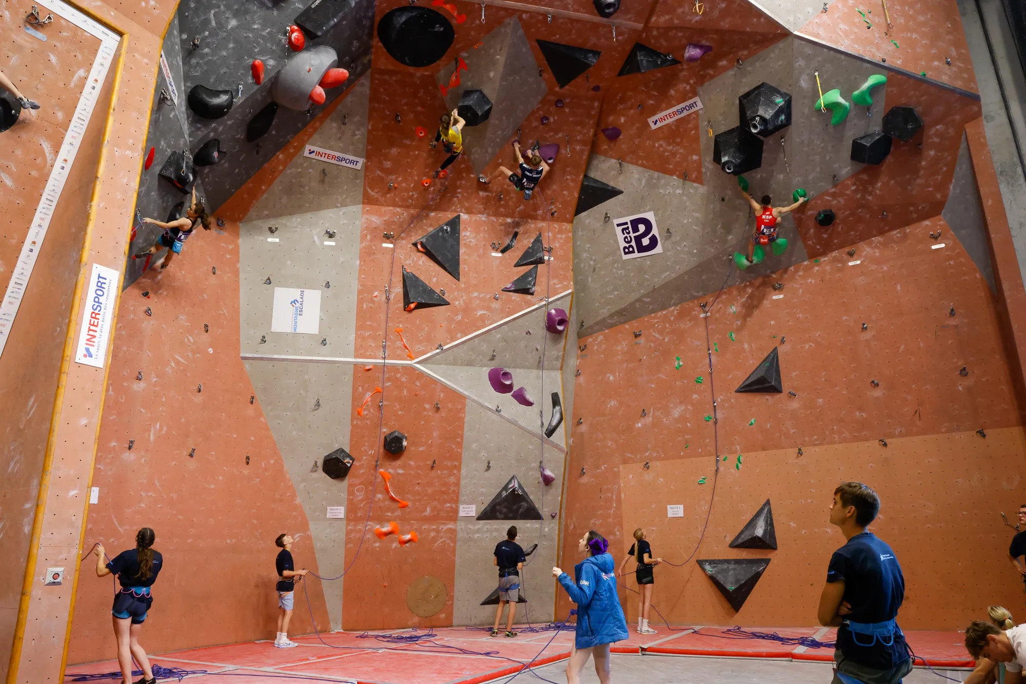 Compétition d'escalade en action